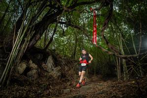 BIB: 
                            <button type="button" onclick="openModal(22177753)" class="btn btn-primary btn-sm float-right btn-popup" data-toggle="modal" data-target=".modal-high-quality">
                        <i class="fas fa-shopping-cart"></i> Add to Cart
                    </button>
                                            <button type="button" onclick="isThisMe(22177753, true)" class="btn btn-success btn-sm float-right btn-popup btn-isme hidden" data-toggle="tooltip" data-placement="bottom" title="นี่คือรูปของคุณใช่ไหม คลิกที่นี่เพื่อเอาเข้าอัลบั้ม">
                        <i class="fas fa-plus"></i> Add to album
                    </button>
                    <button type="button" onclick="isThisMe(22177753, false)" class="btn btn-warning btn-sm float-right btn-popup btn-isnotme hidden">
                        <i class="fas fa-ban"></i> Remove from album
                    </button>